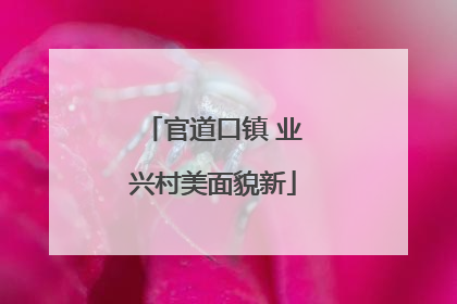 官道口镇 业兴村美面貌新