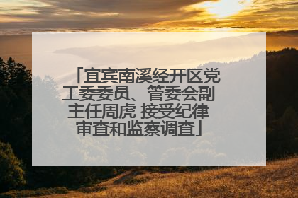 宜宾南溪经开区党工委委员、管委会副主任周虎 接受纪律审查和监察调查