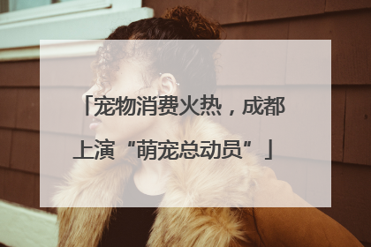 宠物消费火热，成都上演“萌宠总动员”