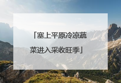 塞上平原冷凉蔬菜进入采收旺季