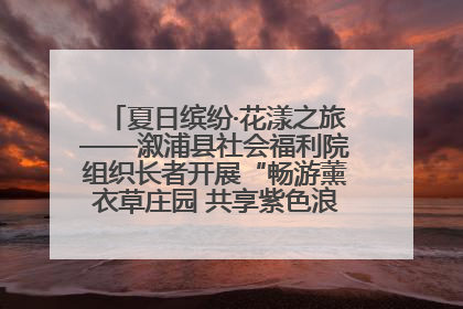 夏日缤纷·花漾之旅——溆浦县社会福利院组织长者开展“畅游薰衣草庄园 共享紫色浪漫”户外活动