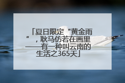 夏日限定“黄金雨”，耿马仿若在画里——有一种叫云南的生活之365天