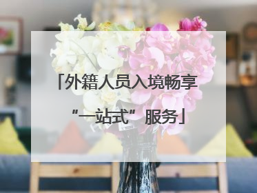 外籍人员入境畅享“一站式”服务