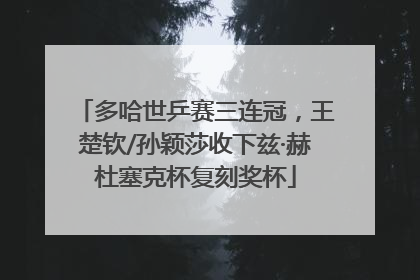 多哈世乒赛三连冠，王楚钦/孙颖莎收下兹·赫杜塞克杯复刻奖杯