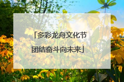 多彩龙舟文化节 团结奋斗向未来