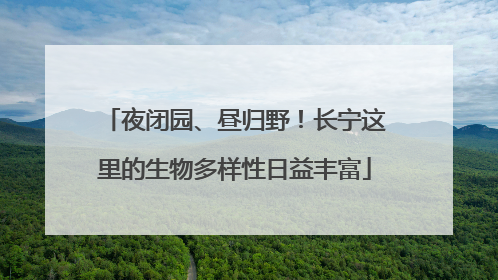 夜闭园、昼归野！长宁这里的生物多样性日益丰富