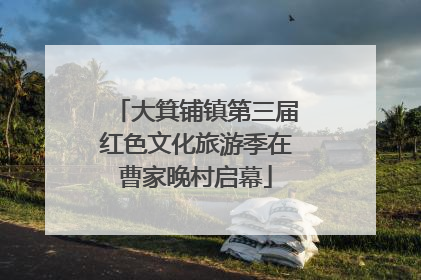 大箕铺镇第三届红色文化旅游季在曹家晚村启幕