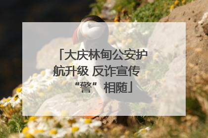 大庆林甸公安护航升级 反诈宣传“警”相随