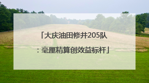 大庆油田修井205队：毫厘精算创效益标杆