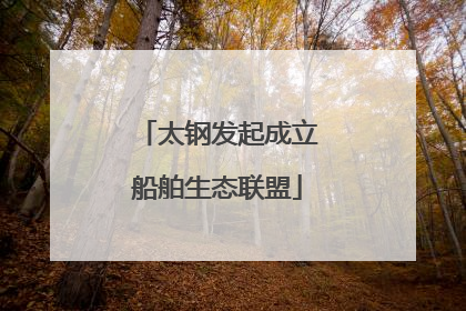 太钢发起成立船舶生态联盟