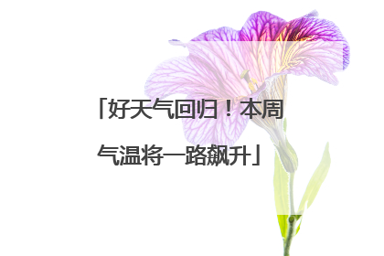 好天气回归！本周气温将一路飙升