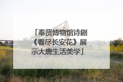 奉贤博物馆诗剧《看尽长安花》展示大唐生活美学