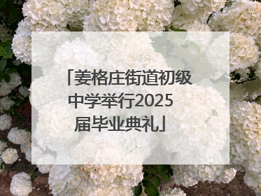 姜格庄街道初级中学举行2025届毕业典礼