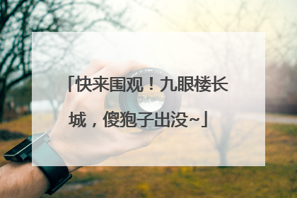 快来围观！九眼楼长城，傻狍子出没~