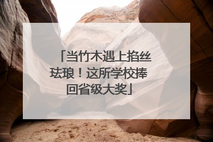 当竹木遇上掐丝珐琅！这所学校捧回省级大奖