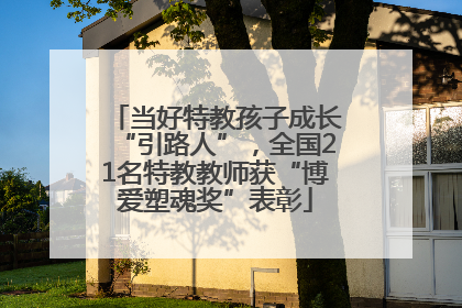 当好特教孩子成长“引路人”，全国21名特教教师获“博爱塑魂奖”表彰