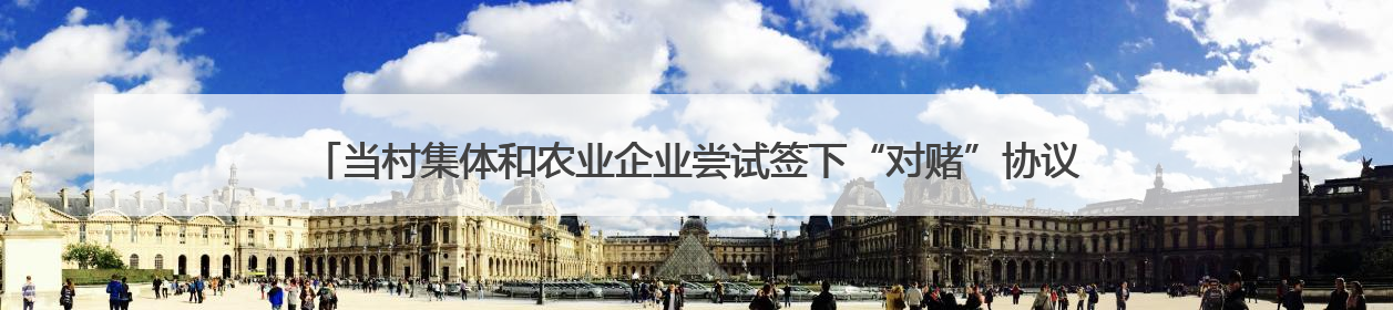 当村集体和农业企业尝试签下“对赌”协议 能为发展酿酒专用粮产业带来哪些利好？