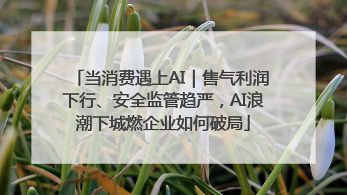 当消费遇上AI｜售气利润下行、安全监管趋严，AI浪潮下城燃企业如何破局