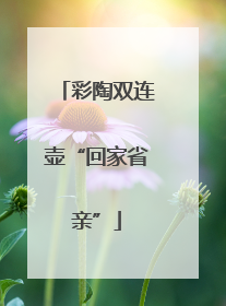 彩陶双连壶“回家省亲”