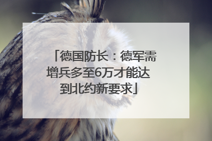 德国防长：德军需增兵多至6万才能达到北约新要求