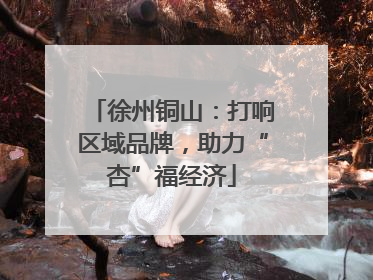 徐州铜山：打响区域品牌，助力“杏”福经济