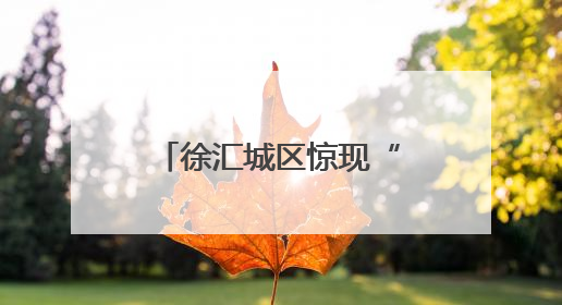 徐汇城区惊现“鸟中国宝”！看城管小哥如何救下这只“彩虹小鸟”