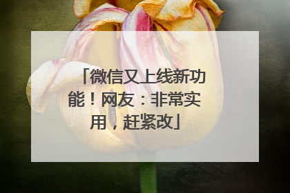 微信又上线新功能！网友：非常实用，赶紧改