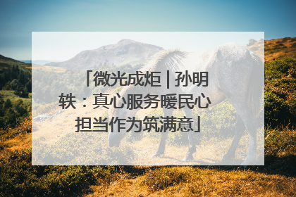 微光成炬 | 孙明轶：真心服务暖民心 担当作为筑满意