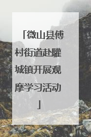 微山县傅村街道赴驩城镇开展观摩学习活动