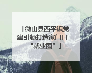 微山县西平镇党建引领打造家门口“就业圈”