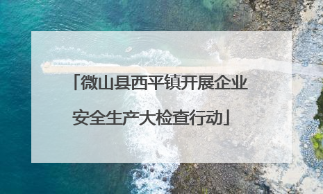 微山县西平镇开展企业安全生产大检查行动