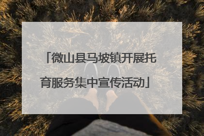 微山县马坡镇开展托育服务集中宣传活动