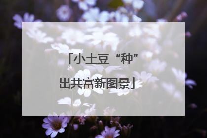 小土豆“种”出共富新图景