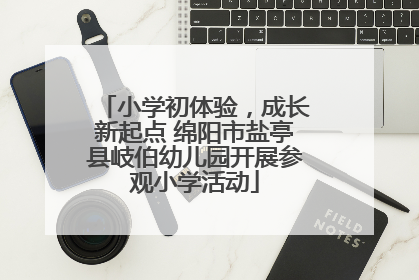 小学初体验，成长新起点 绵阳市盐亭县岐伯幼儿园开展参观小学活动