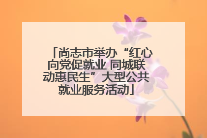 尚志市举办“红心向党促就业 同城联动惠民生”大型公共就业服务活动