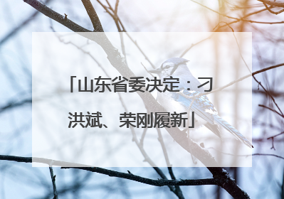 山东省委决定：刁洪斌、荣刚履新