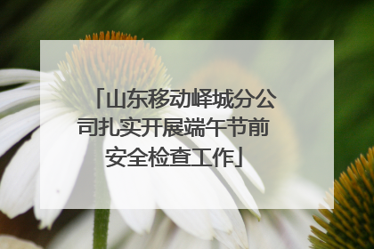 山东移动峄城分公司扎实开展端午节前安全检查工作