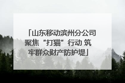 山东移动滨州分公司聚焦“打猫”行动 筑牢群众财产防护堤