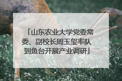 山东农业大学党委常委、副校长周玉玺率队到鱼台开展产业调研
