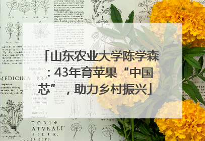 山东农业大学陈学森：43年育苹果“中国芯”，助力乡村振兴