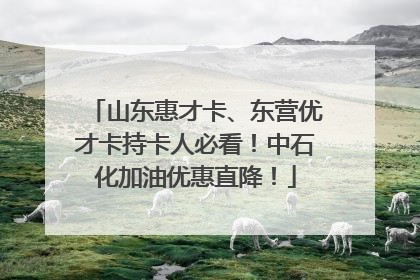 山东惠才卡、东营优才卡持卡人必看！中石化加油优惠直降！
