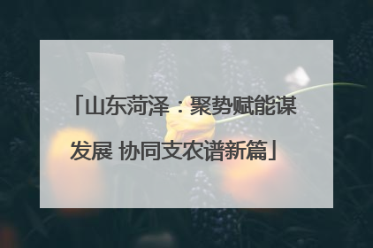 山东菏泽：聚势赋能谋发展 协同支农谱新篇