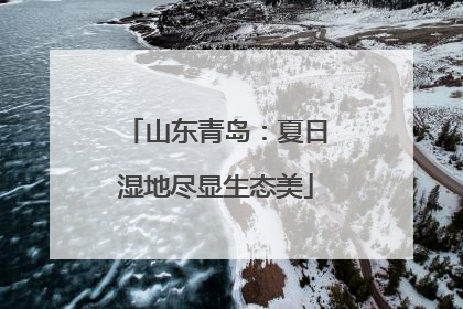 山东青岛：夏日湿地尽显生态美