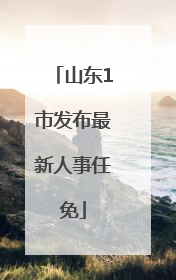 山东1市发布最新人事任免