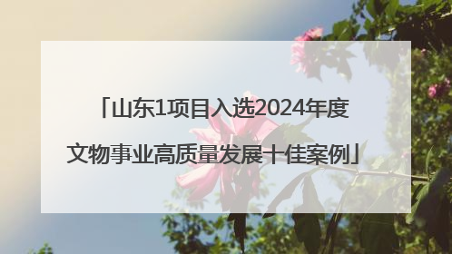 山东1项目入选2024年度文物事业高质量发展十佳案例