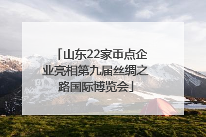 山东22家重点企业亮相第九届丝绸之路国际博览会