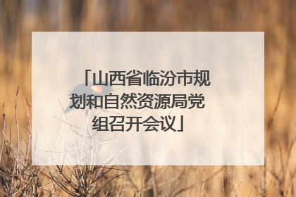 山西省临汾市规划和自然资源局党组召开会议