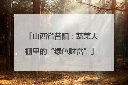 山西省昔阳：蔬菜大棚里的“绿色财富”