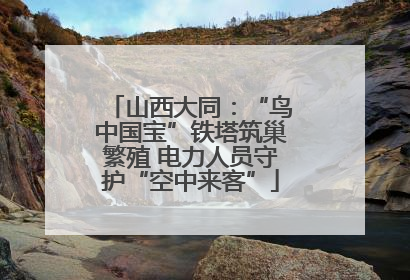 山西大同：“鸟中国宝”铁塔筑巢繁殖 电力人员守护“空中来客”