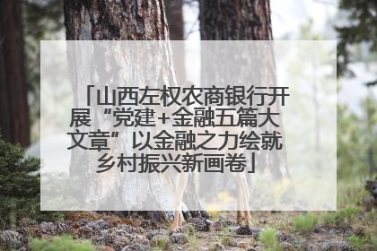 山西左权农商银行开展“党建+金融五篇大文章”以金融之力绘就乡村振兴新画卷